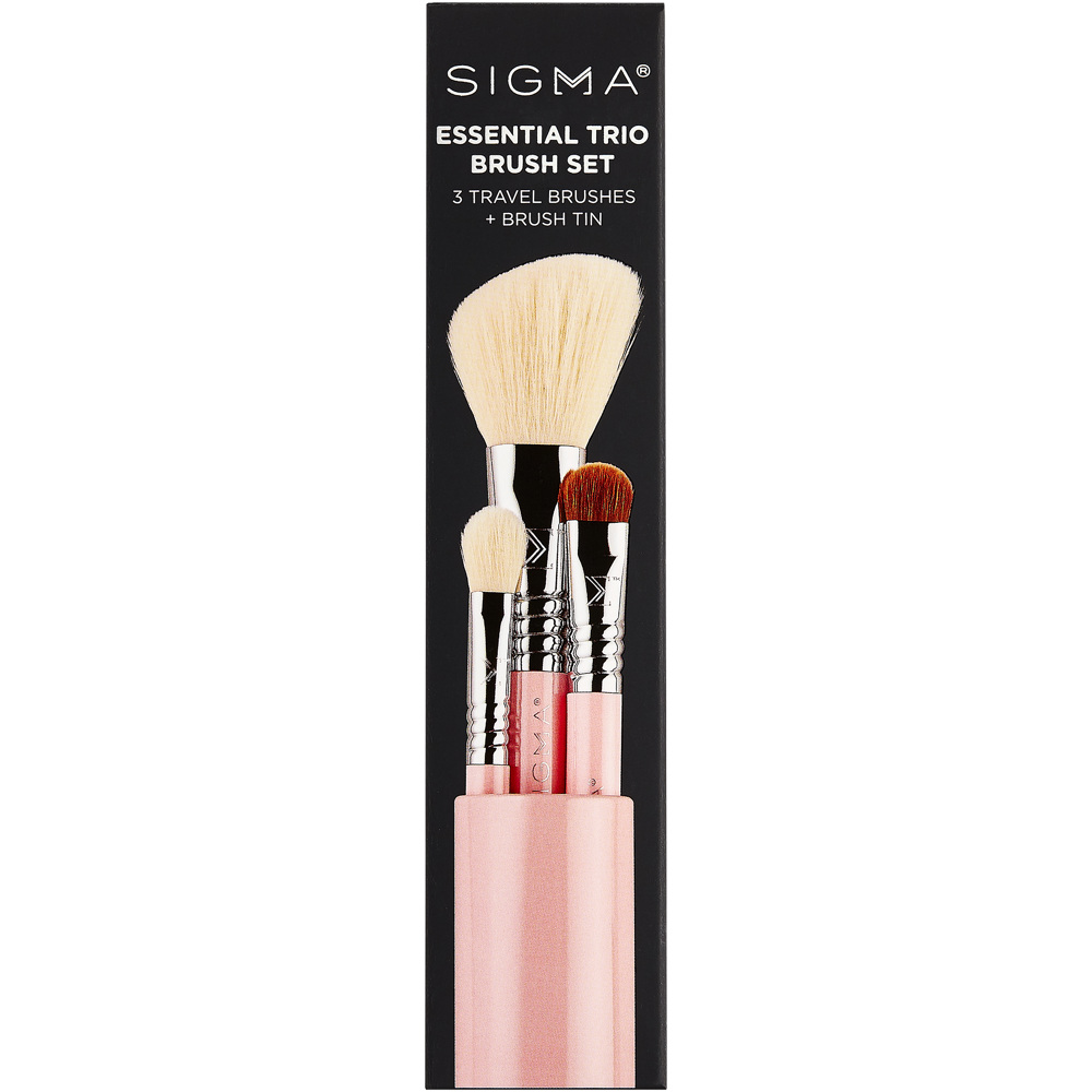 Essential Trio Brush Set - Light Pink