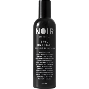 Epic Retreat Treatment Conditioner, 250ml