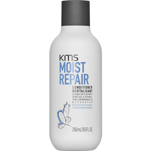 Moistrepair Conditioner, 250ml