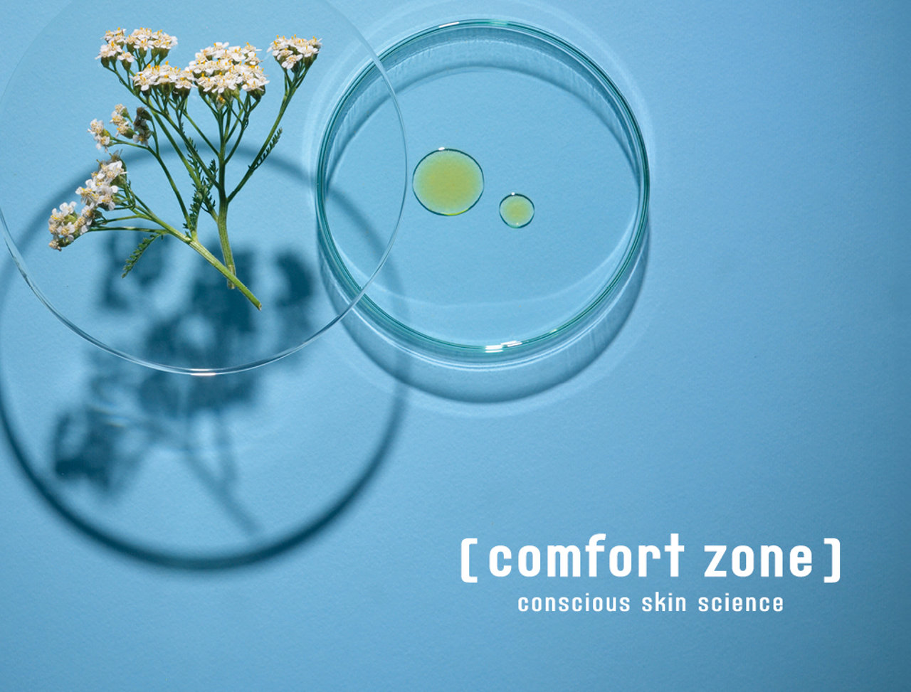 Comfort Zone